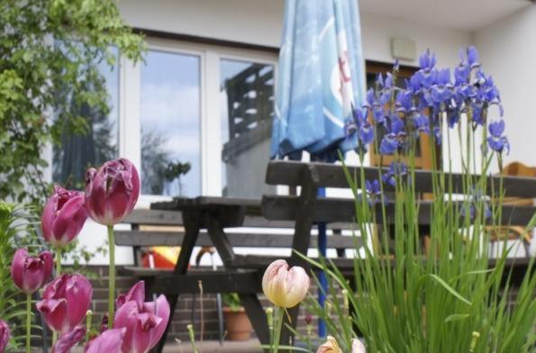 Pensjonacik Albatros Appartement Mikołajki Buitenkant foto