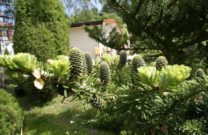 Pensjonacik Albatros Appartement Mikołajki Buitenkant foto